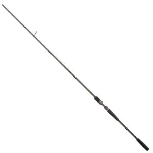 Abu garcia Cana Spinning Svartzonker