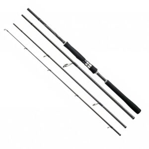 Shimano fishing Cana Spinning Dialuna