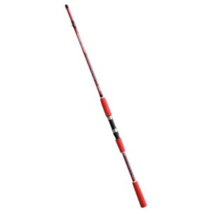 Shizuka Cana Spinning SH1000