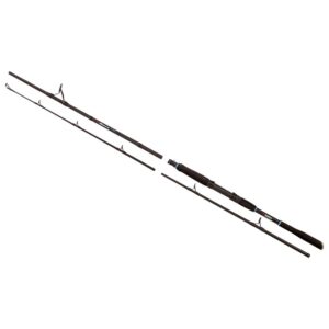 Rhino Cana Spinning Mare Tour Deepstar