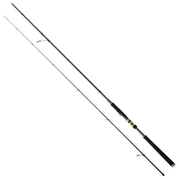 Cinnetic Cana Spinning Raycast XBR Sea Bass MH Game