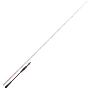 Daiwa Cana Spinning Saltist Tenya