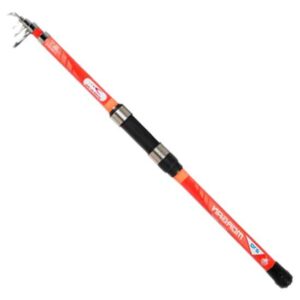 Kali Cana Spinning Morgan