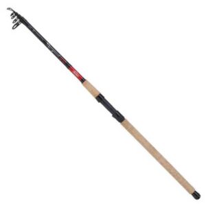 Berkley Cana Spinning Cherrywood Spezi Allround Tele