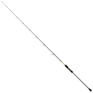 Centaur Cana Spinning Constellation