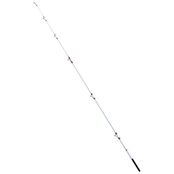 Fishing ferrari Cana Surfcasting Maranello - Image 4