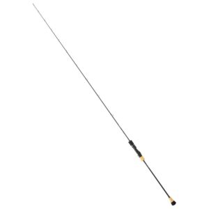 Daiwa Cana Jigging Saltiga Slow
