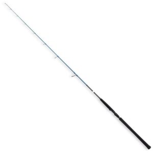 Savage gear Cana Jigging SGS2