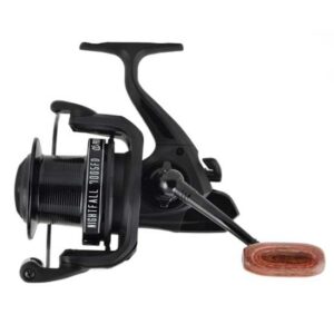 Prowess Molinete Nightfall