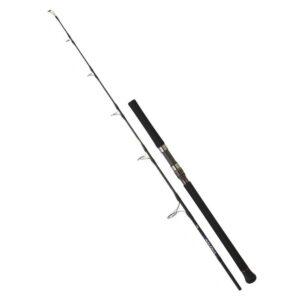 Daiwa Cana Jigging Saltiga Air Portable