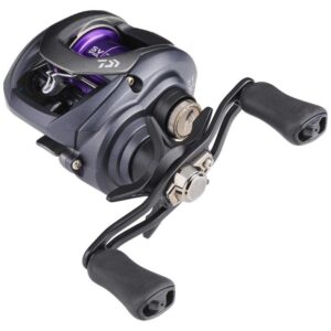 Daiwa Molinete Baitcasting Prorex 2020 PE SV TW