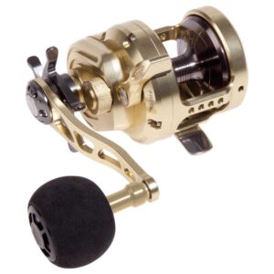 Hart Molinete Jigging Brutal SD 50L