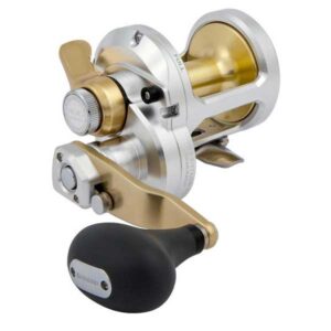 Shimano fishing Molinete Trolling Talica 2 Speed