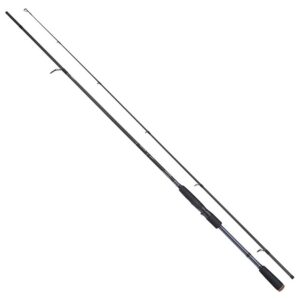 Shimano fishing Cana Spinning Catana FX Fast