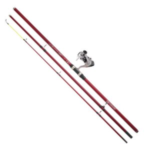Daiwa Combo Surfcasting Sweepfire+Q860FM