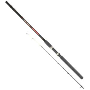 Mikado Cana Carpfishing Shinju Feeder