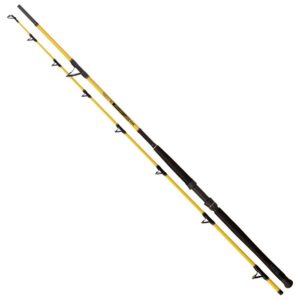 Black cat Cana Silúrideo Freestyle Bank