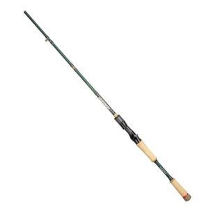Sakura Seção Baitcasting Rod Ionizer Power Game 1