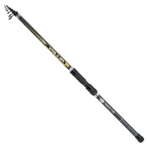 Kali kunnan Cana Bolognese Allen