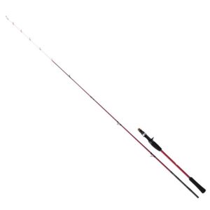 Shimano fishing Cana Baitcasting Engetsu BB