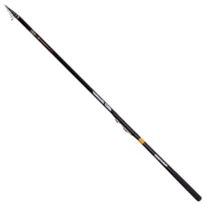 Yokozuna Cana Bolognese ISO Master