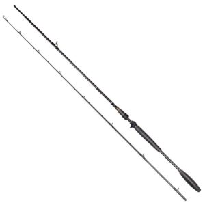 Westin Cana Baitcasting W10 Powercast-T
