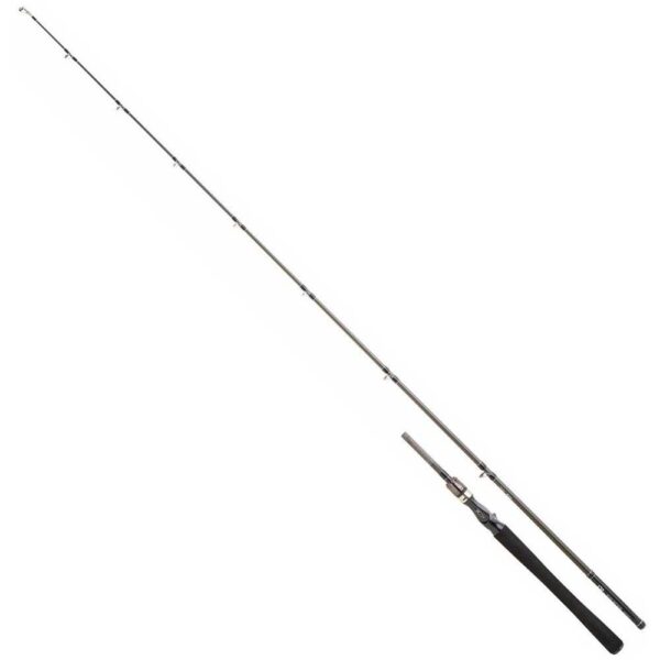 Daiwa Cana Baitcasting Exceler 1+1
