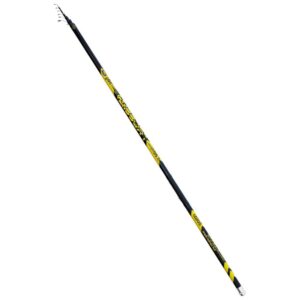 Lineaeffe Cana Bolognese Freccia