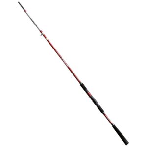 Fishing ferrari Cana Pesca De Fundo Sabiki