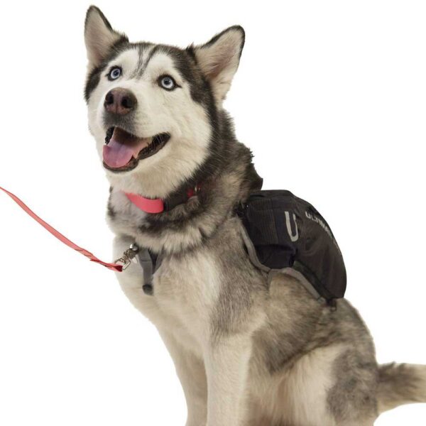 Ultimate direction Alforje De Cão 5.8L - Imagem 6
