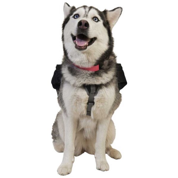 Ultimate direction Alforje De Cão 5.8L - Imagem 5
