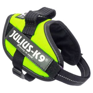 Julius k-9 Arnês IDC Mini