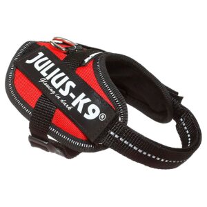 Julius k-9 Arnês IDC Baby