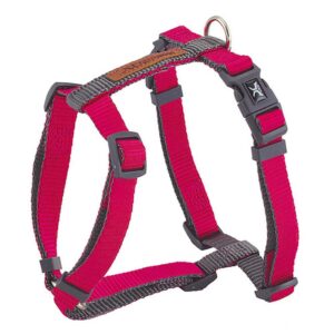 Nayeco Arnês Forest British X-TRM Premium 45-75x2 Cm