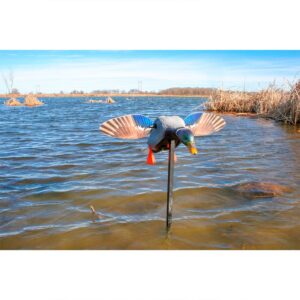 Mojo outdoors Chamariz Elite Series Mini Mallard Drake