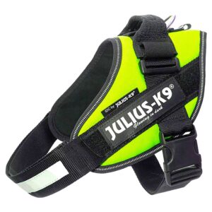 Julius k-9 Arnês IDC