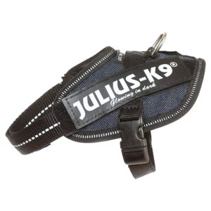 Julius k-9 Arnês IDC Baby