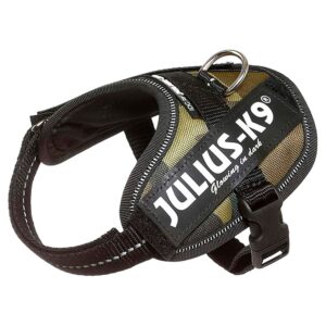 Julius k-9 Arnês IDC Baby