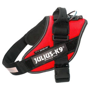 Julius k-9 Arnês IDC