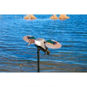 Mojo outdoors Isca Pintail Elite Series