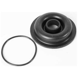 Whale Kit De Fole De Placa De Convés