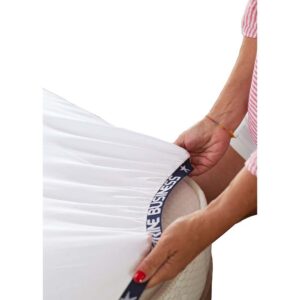 Marine business Folha Elástica Model F