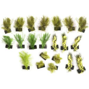 Pikotech Kit Quick Seaweeds Capuz Morph Green
