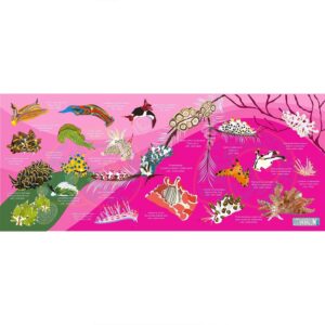 Oceanarium Toalha Nudibranch M