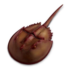 Safari ltd Figura Horseshoe Crab