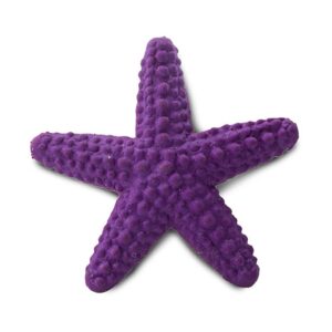 Safari ltd Figura Starfish Good Luck Minis