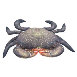 Gaby The Mud Crab Medium