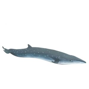 Safari ltd Figura Sei Whale