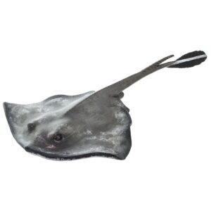 Safari ltd Figura Sting Ray