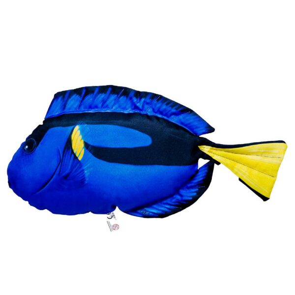 Gaby The Regal Tang Medium